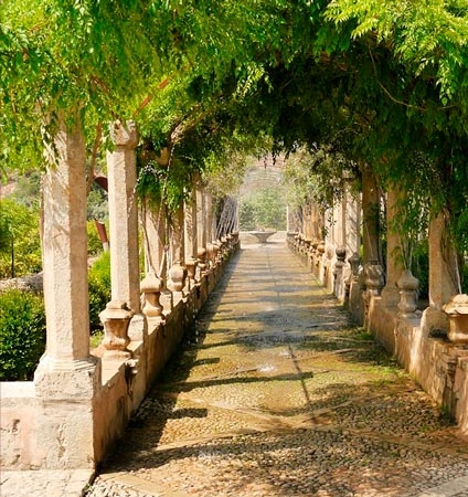 сказание о гордом аггее гаршин краткий анализ